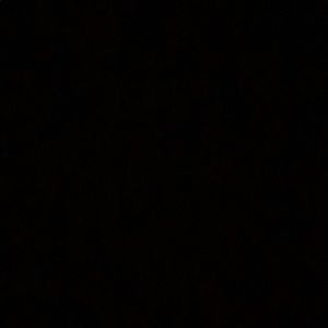 Meet your Posher, Martin